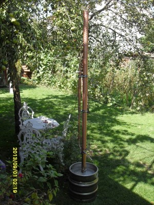 SDC13425.jpg