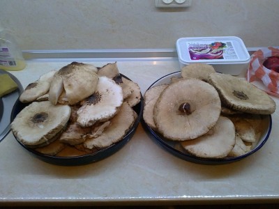 Сърнелки.JPG