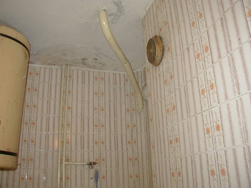 P1010035.jpg