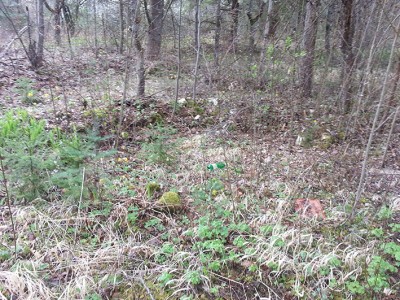 20140329_102004.jpg