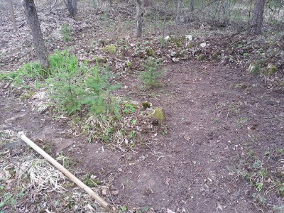 20140329_141743.jpg