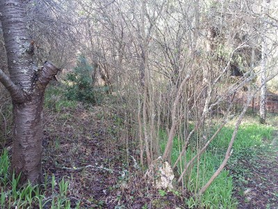 20140329_094503.jpg