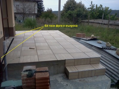 IMG36731.jpg