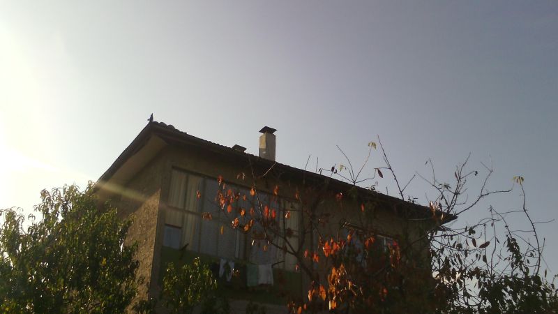 IMG_20141019_154939.jpg