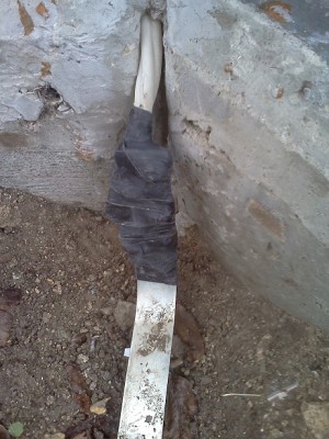 IMG3770.jpg