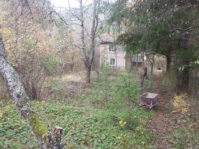 20141108_120744.jpg