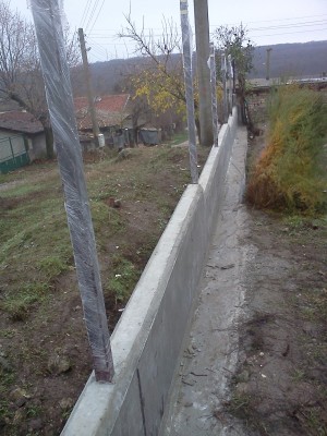 IMG3828.jpg