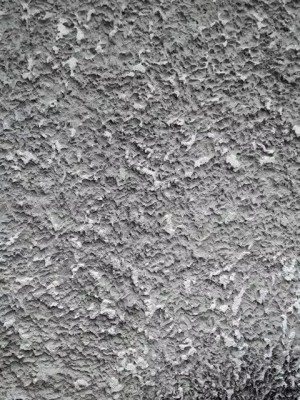 received_961239703904706.jpeg.jpg