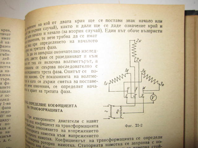 Picture 239.jpg