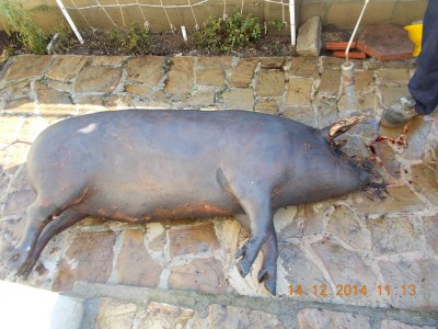 DSCN0048.JPG