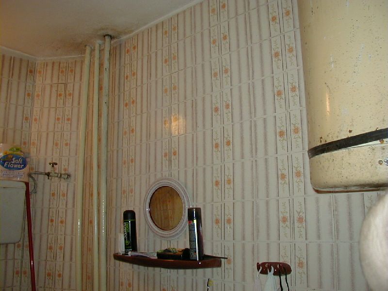 P1010012.jpg