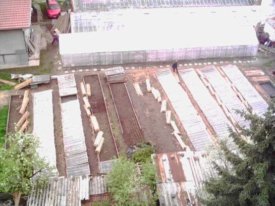 PICT0m004.JPG