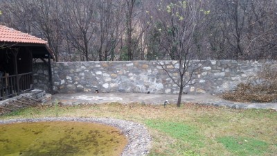 20141130_130928.jpg