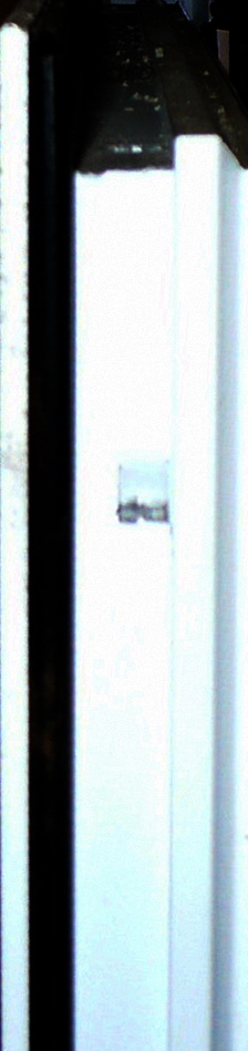 P1160309_1.JPG