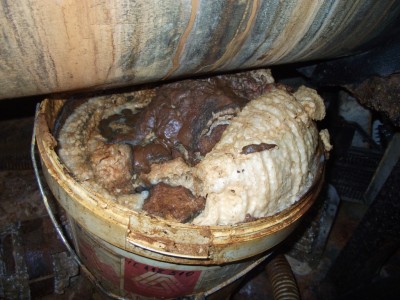 dscf6781.jpg