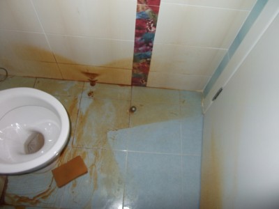dscf6785.jpg