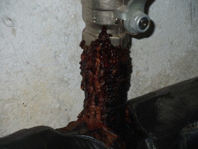 dscf6798.jpg