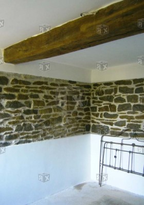 picture_16994.jpg