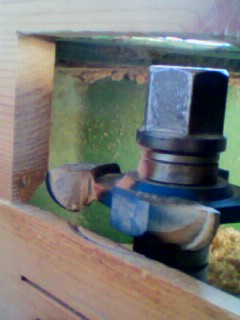 IMG0003A.jpg
