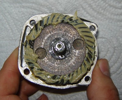 DSC03505.JPG