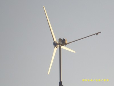 DSCI9744.JPG