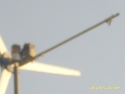 DSCI9745.JPG