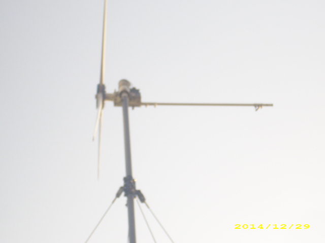 DSCI9763.JPG