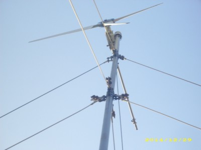DSCI9761.JPG