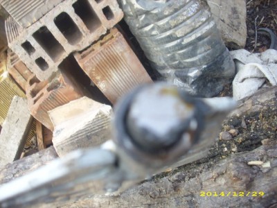 DSCI9750.JPG