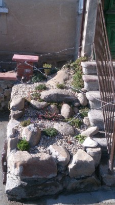 032.JPG