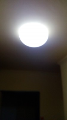 IMG_20150205_173720.jpg