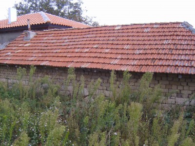 S5300863.jpg