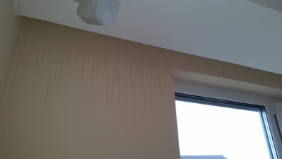 20150216_155700.jpg