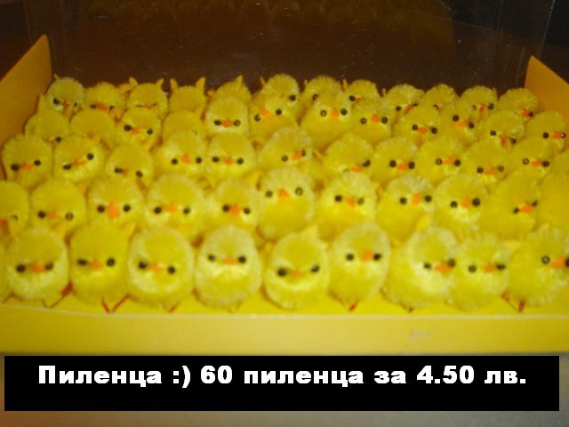 Picture 002.jpg