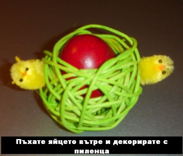 Picture 004.jpg