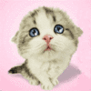 1144501232112.gif