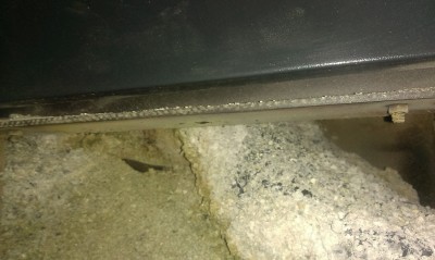 IMAG0421.jpg