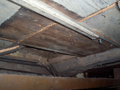 100_9540.jpg