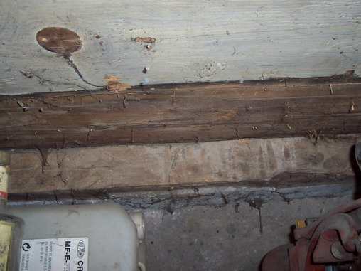 100_9539.jpg