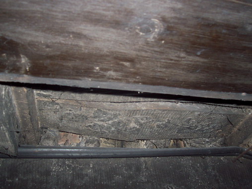 100_9537.jpg