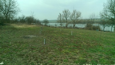 IMAG0660.jpg