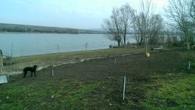 IMAG0690.jpg