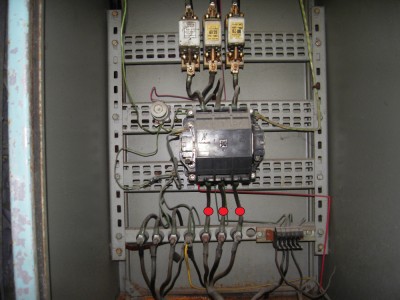 SDC10393.jpg