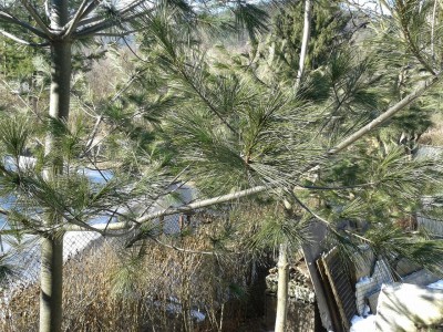 20150220_104318.jpg