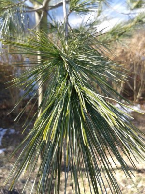 20150220_104331.jpg