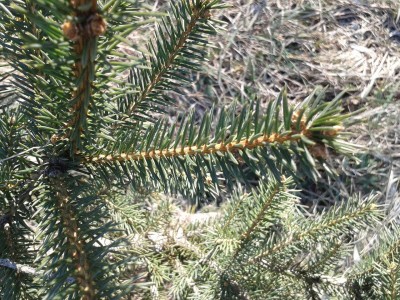 20150220_104409.jpg