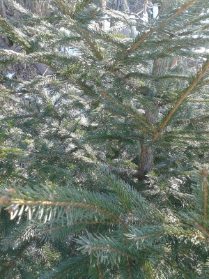 20150220_104708.jpg