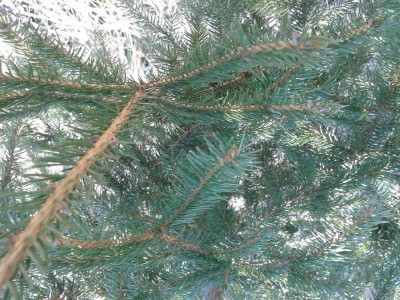 20150220_104715.jpg