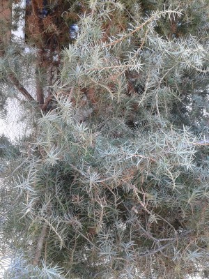 20150220_104854.jpg