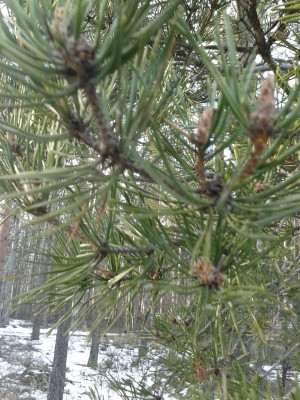 20150221_162925.jpg